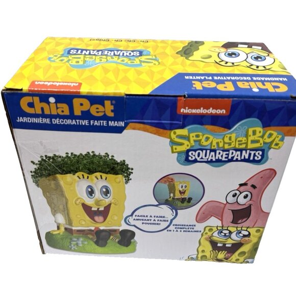 Chia Pet Sponge Bob - Handmade Funny Decorative Terracotta Planter Yellow NEW - Picture 10 of 12